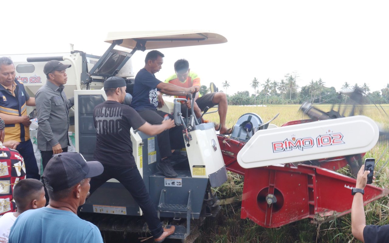 Panen Raya di Watang Sidenreng, Bupati Sidrap Apresiasi Kerja Keras Petani