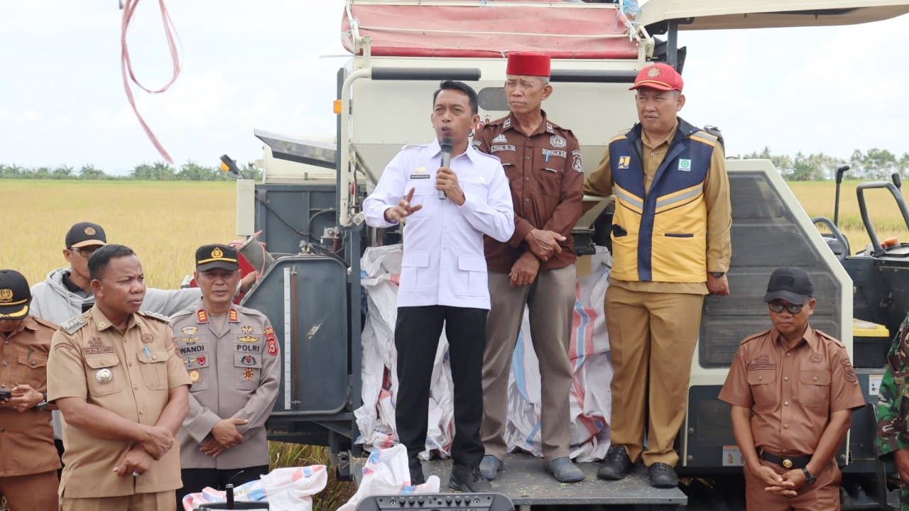 Bupati Sidrap Panen Raya dan Evaluasi Pertanaman di Panca Lautang