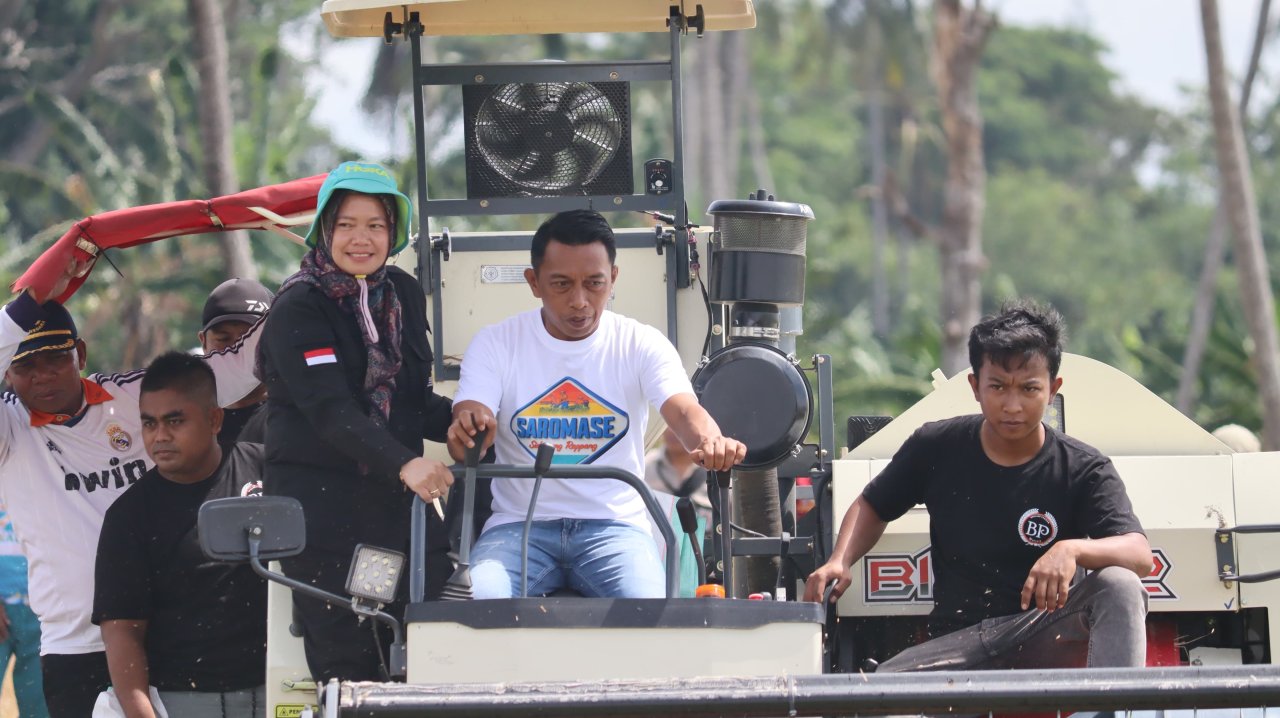 Bupati Sidrap dan Direktur Alsintan Panen Raya di Panca Lautang