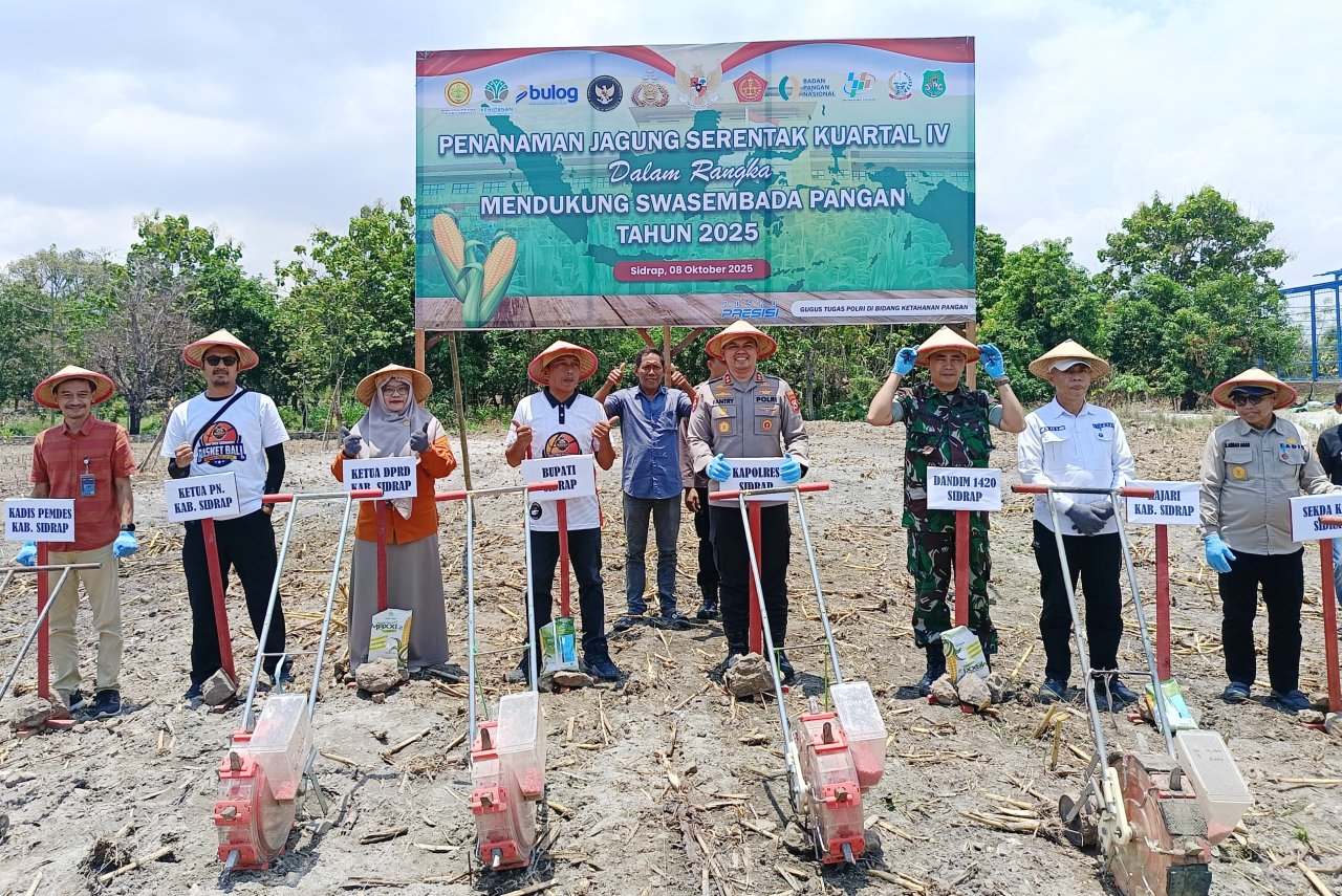 Sidrap Laksanakan Tanam Jagung Serentak Kuartal IV, Tegaskan Dukungan Swasembada Pangan