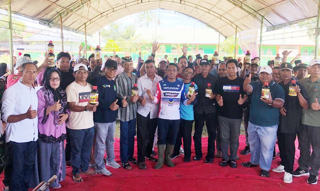 Bupati Syaharuddin Bersama Warga Rayakan Pesta Panen di Kelurahan Salomallori