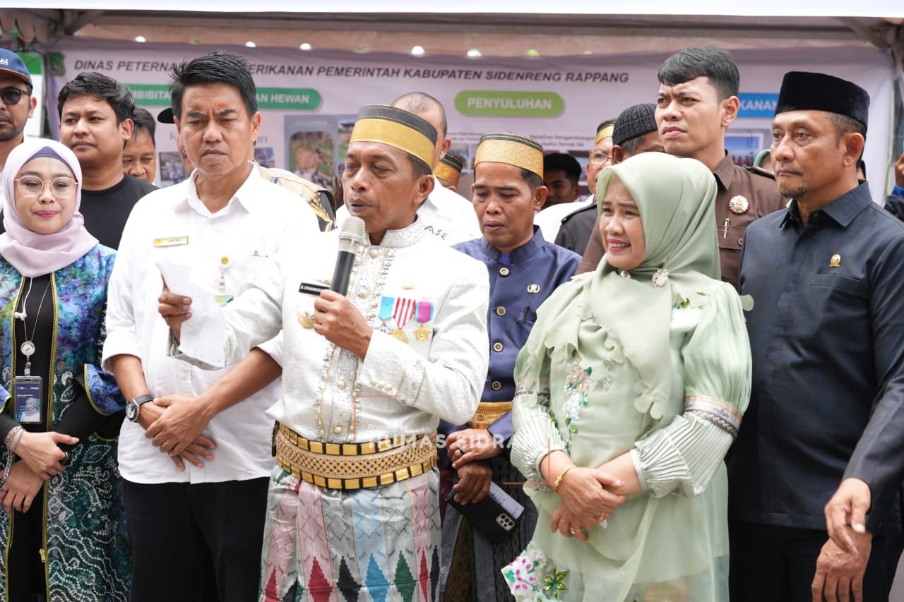 Komoditas Pangan Sidrap Mengalir ke Luar Daerah, Jaga Pasokan Nasional