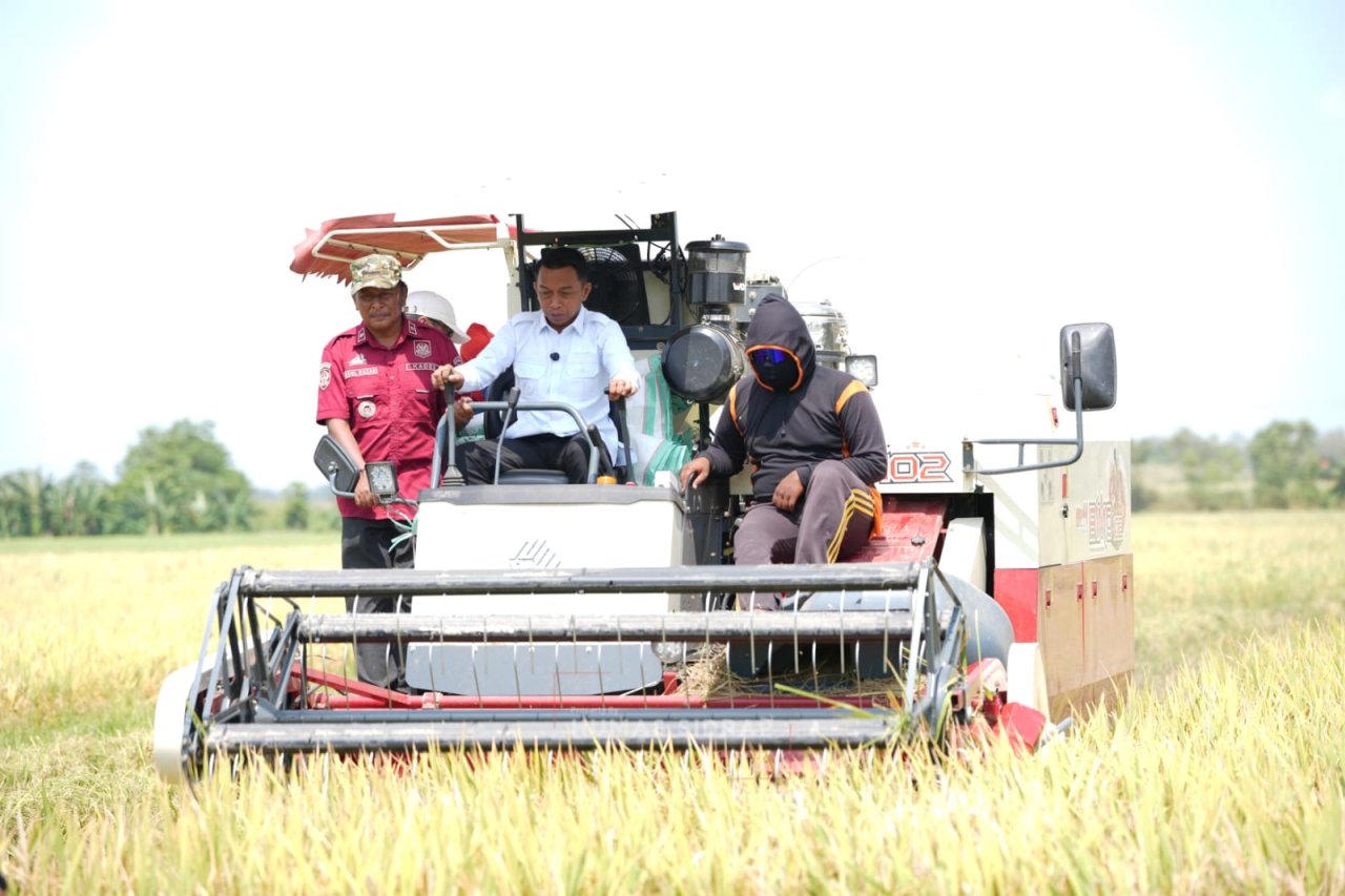 Panen di Bawah Panas Terik Ramadan, Bupati Ajak Petani Kejar Berkah