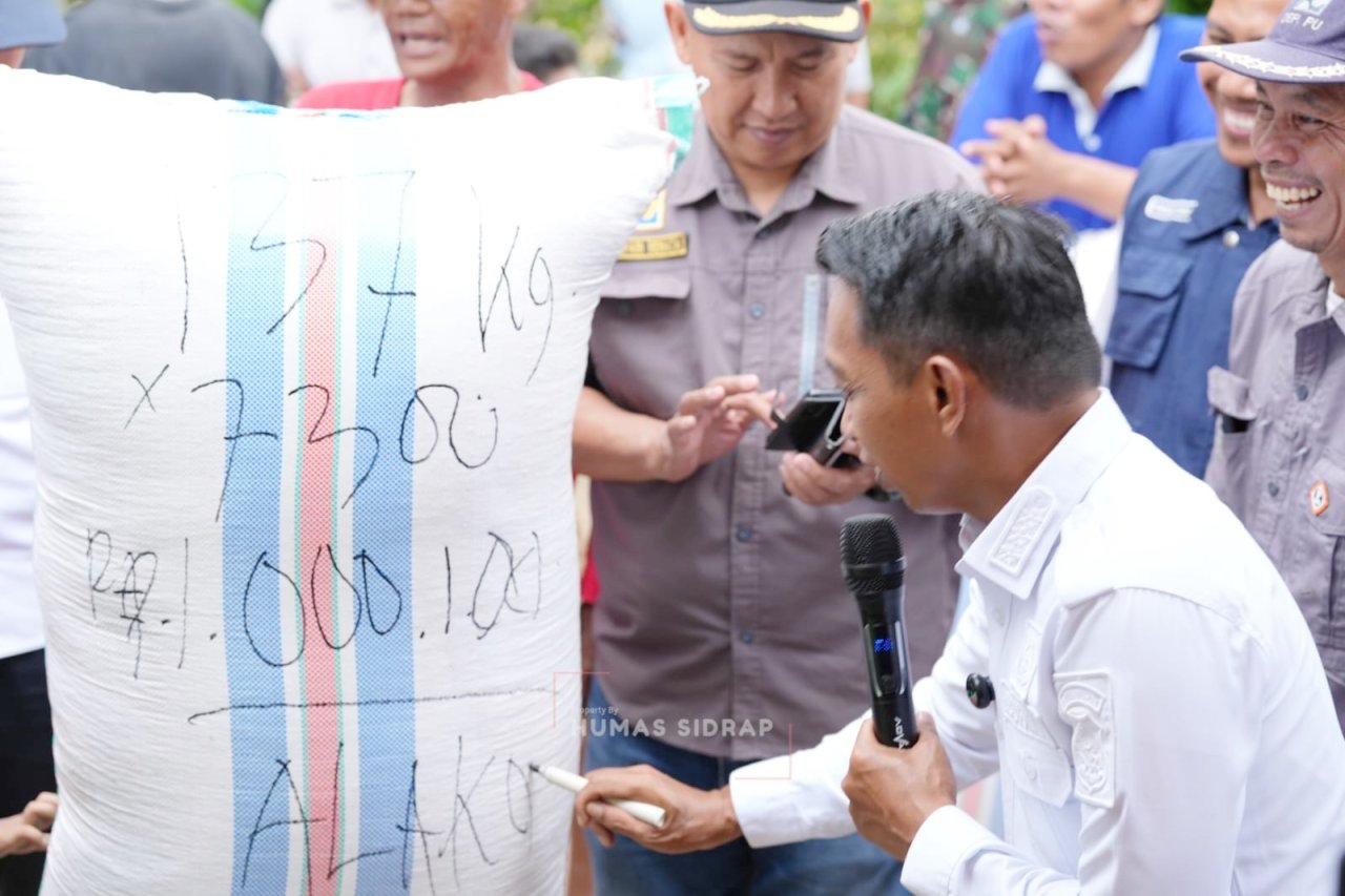 Dari Lasiwala ke Walatedong, Bupati Sidrap Pimpin Dua Panen Padi dalam Sehari