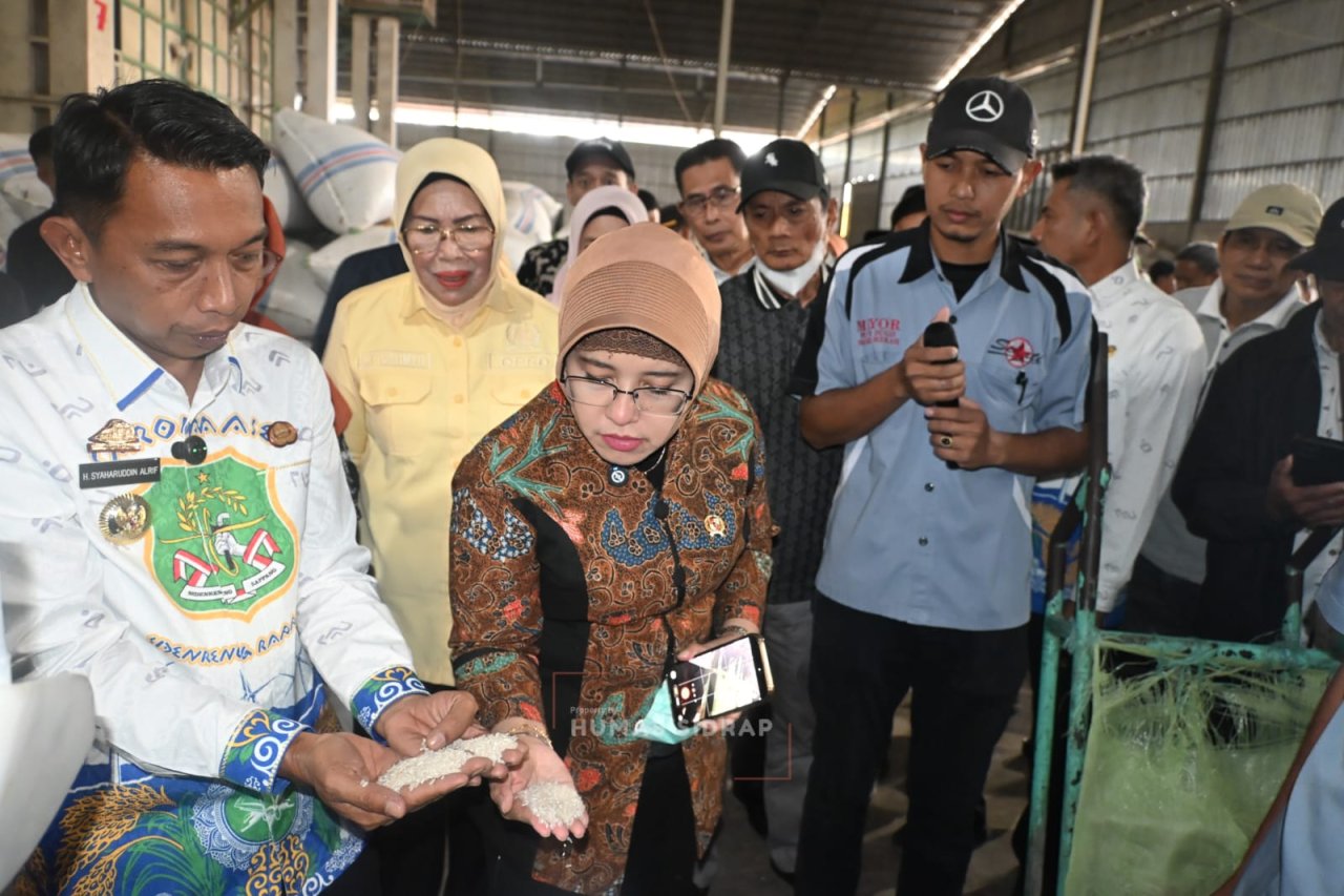 Kepala BPS Saksikan Hilirisasi Pertanian di Pabrik Beras Modern Baranti