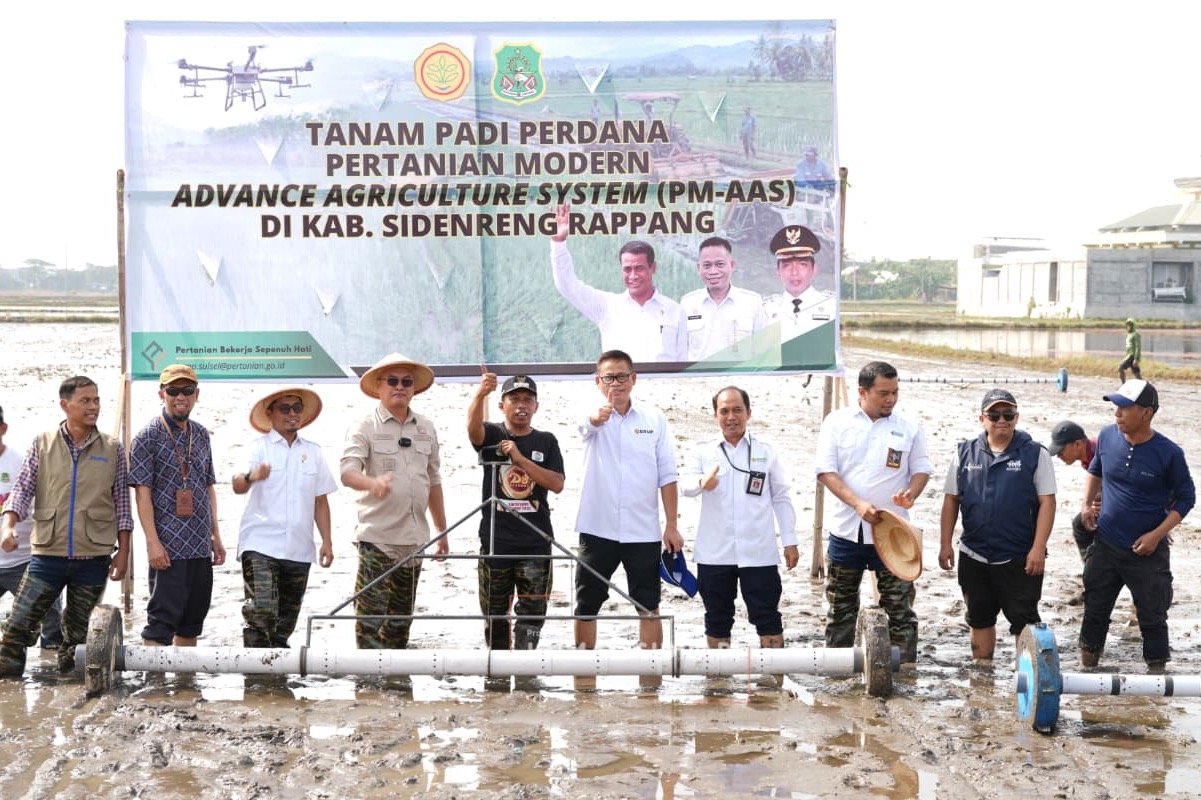 Sidrap Terapkan Advance Agriculture System untuk Pacu Produktivitas Pertanian