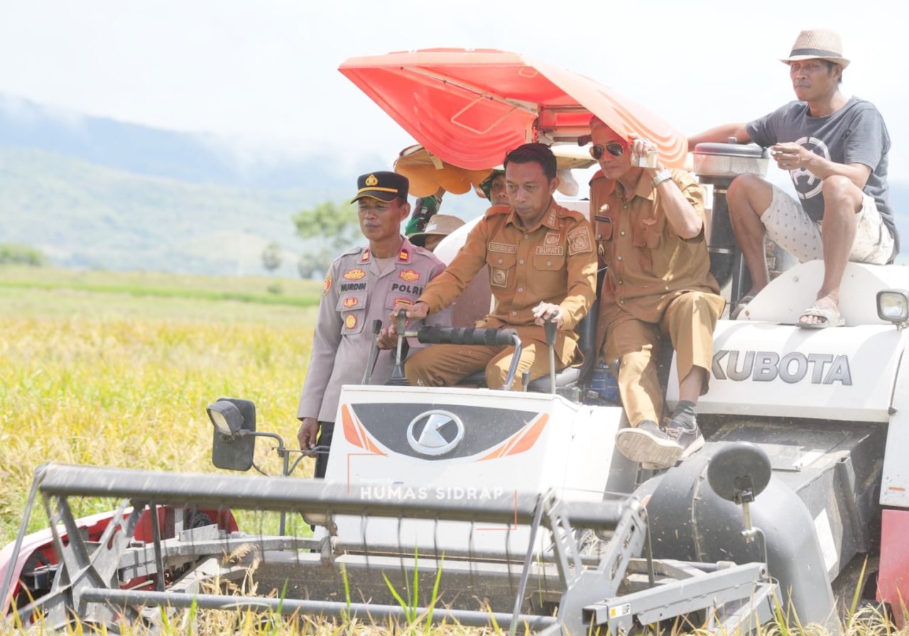 Sukacita Panen di Desa Lise, Potret Sinergi Pemkab Sidrap dan Petani Kawal Swasembada Pangan