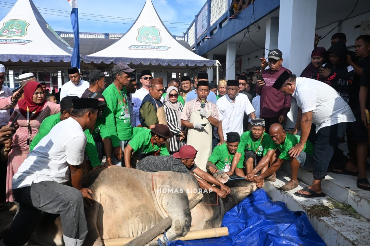 Bupati Sidrap Sembelih Langsung Hewan Kurban Bantuan Presiden, Warga Sambut Antusias