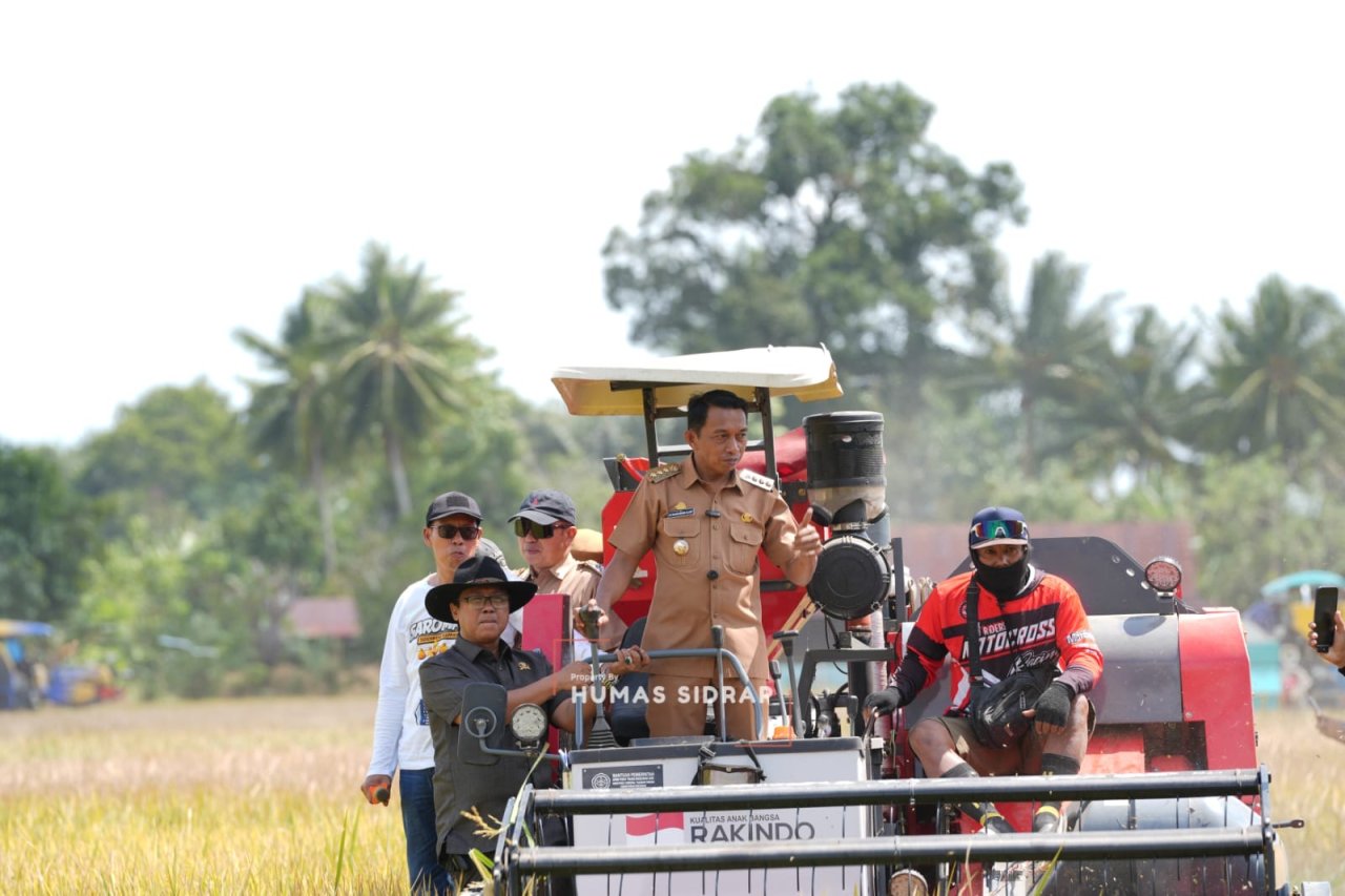 30 Combine Harvester Bergerak Bersama, Panen Raya IP 300 di Bila Riase Jadi Sorotan