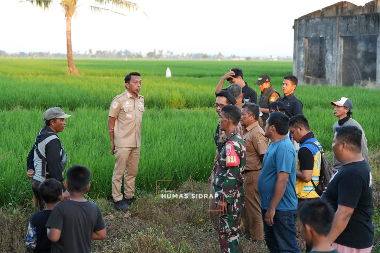 Hadapi Kemarau, Bupati Syaharuddin Cek Langsung Aliran Irigasi dan Kebutuhan Air Petani Sidrap