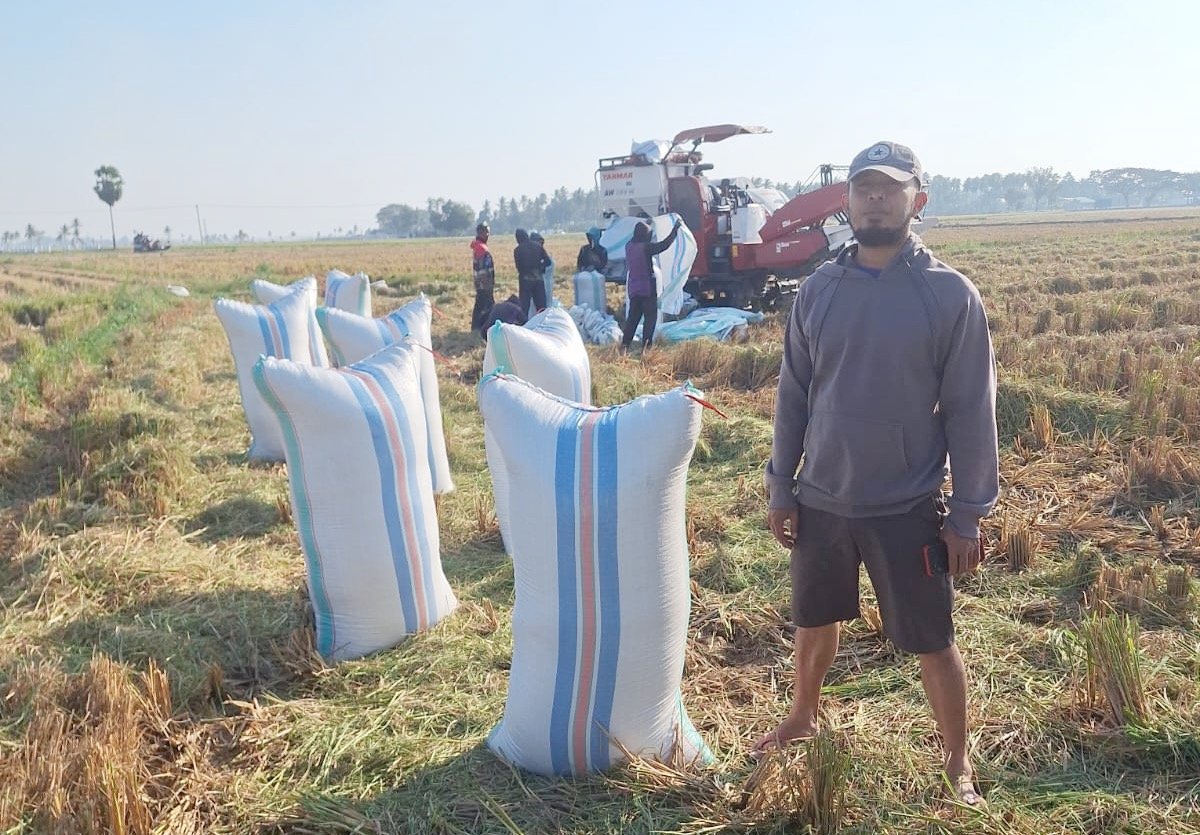 Sawah Tetap Produktif Saat Kemarau, Petani Desa Dongi Raup 6,96 Ton Gabah dari Lahan 78 Are