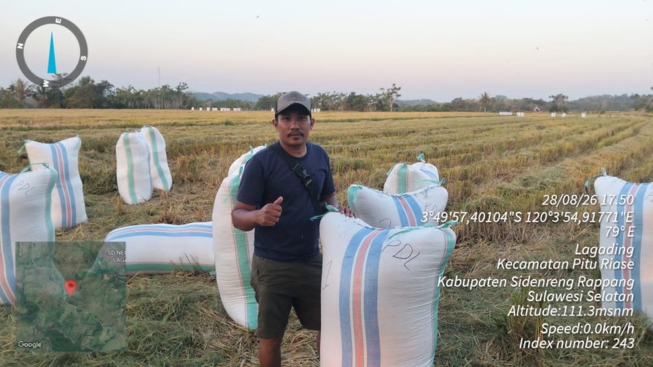 Embung dan Pompa Jadi Andalan, Petani Lagading Sukses Panen 11,3 Ton dari Sawah Tadah Hujan