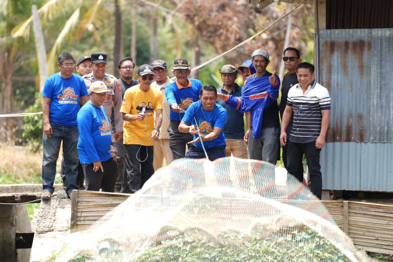 Bupati Syaharuddin Saksikan Panen Padi dan Ikan di Kecamatan Kulo
