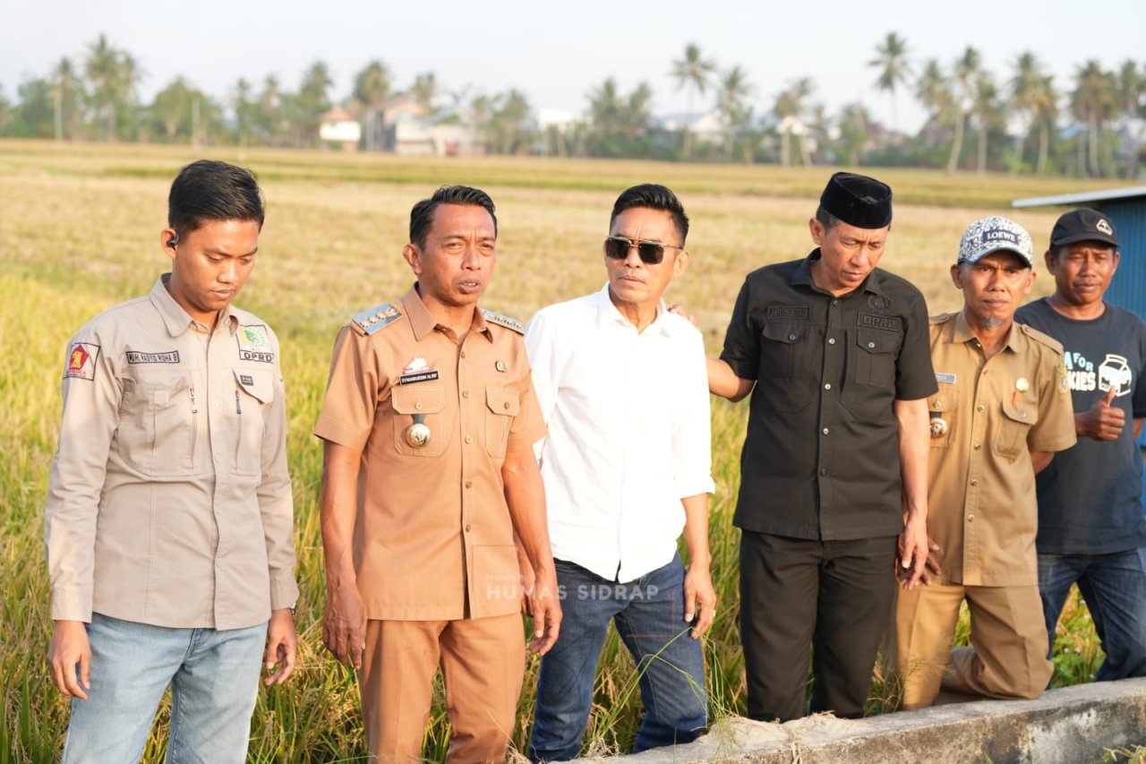 Bupati Sidrap Cek Sawah Bangkai, Pastikan Program Listrik Masuk Sawah Jaga Produktivitas Pad