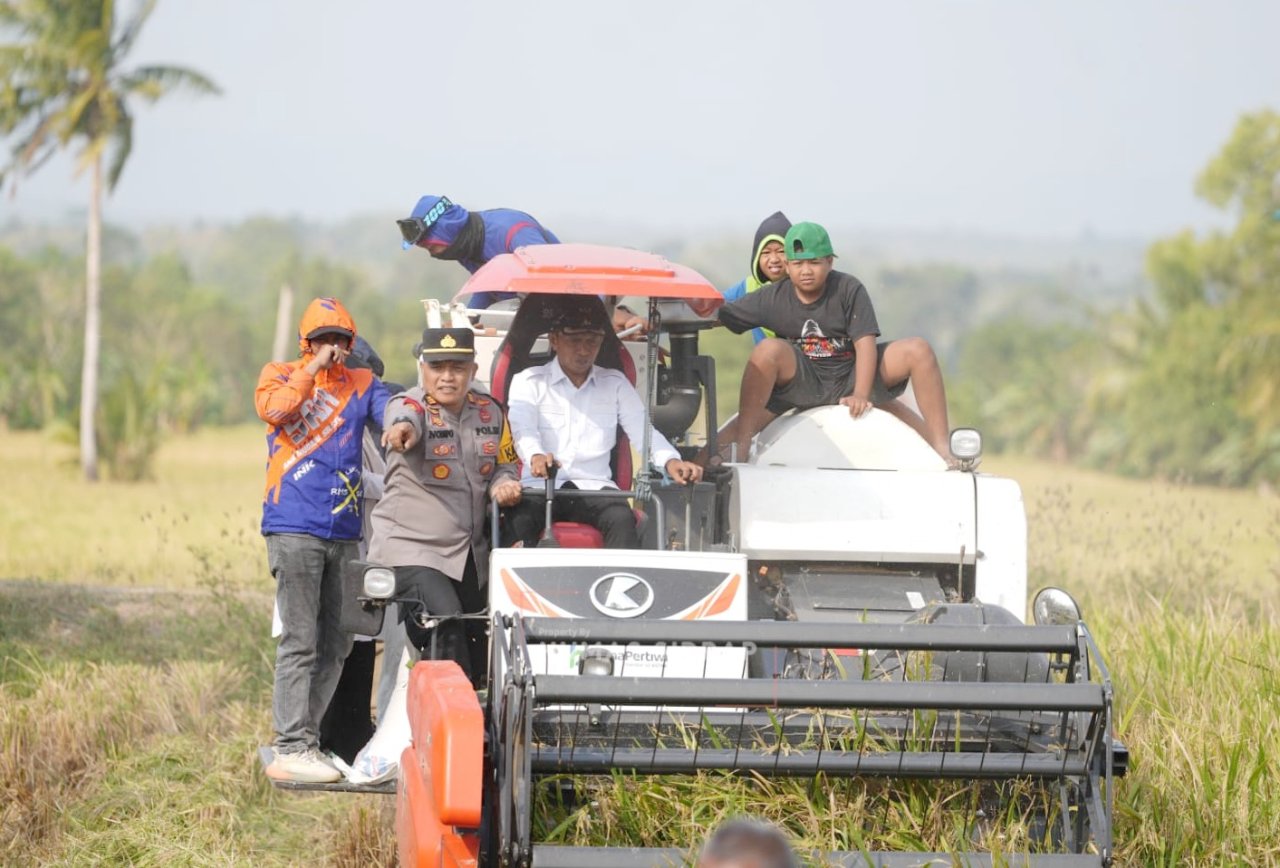 Panen di Sawah Tadah Hujan Bulo Wattang, Bupati Syaharuddin: Ada Sumur Bor, Petani Tetap Produktif