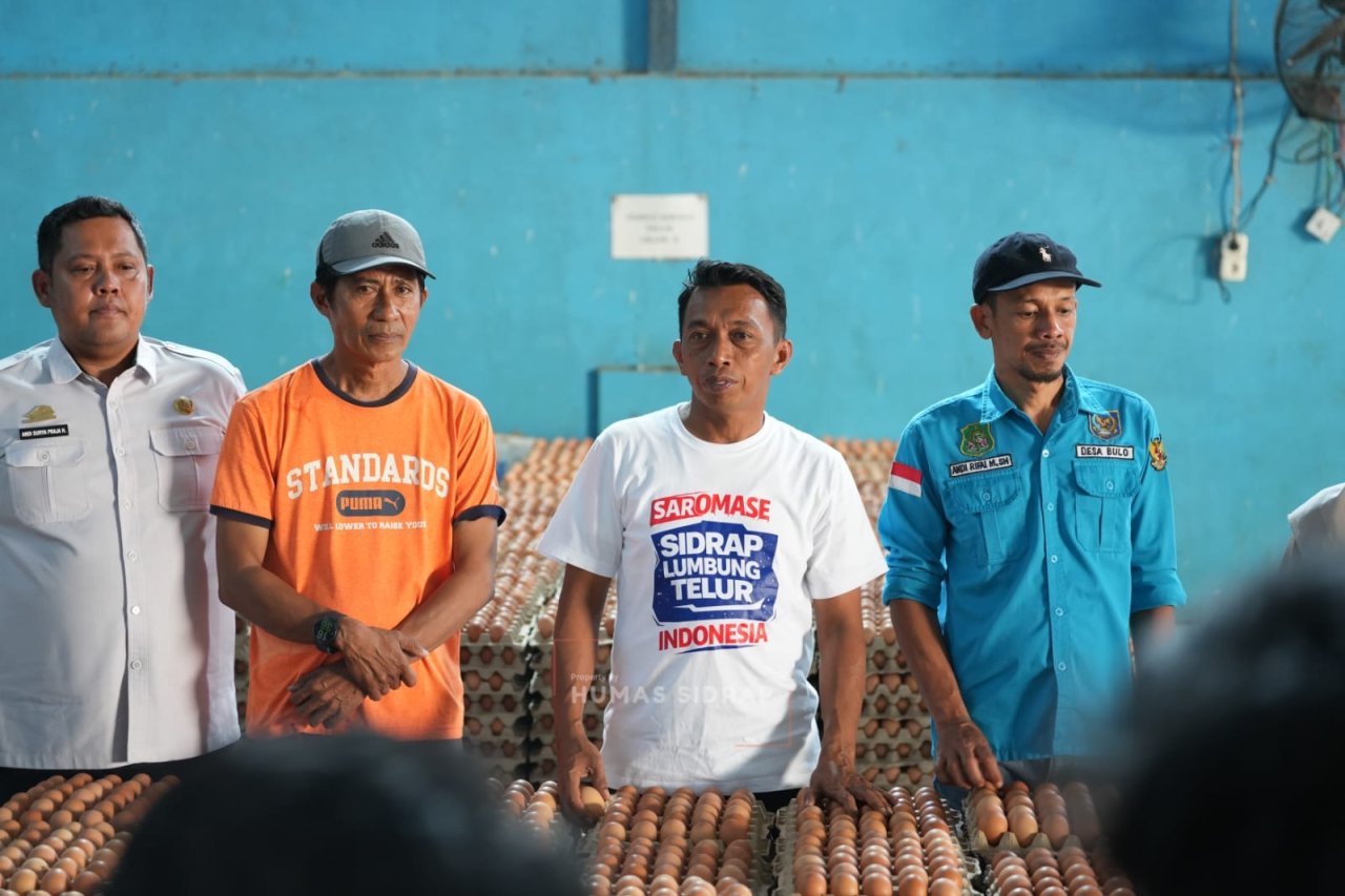 Bupati Sidrap Tinjau Peternakan 200 Ribu Ayam di Kulo, Telur Dipasok hingga Kalimantan
