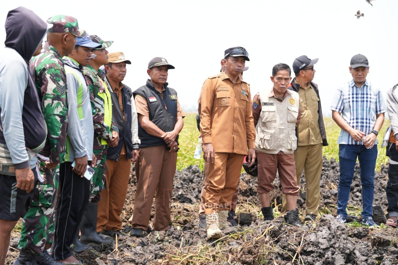 Bupati Syaharuddin Alrif Upayakan Penyelamatan Ratusan Hektare Sawah Lewat Pompanisasi Danau Sidenreng