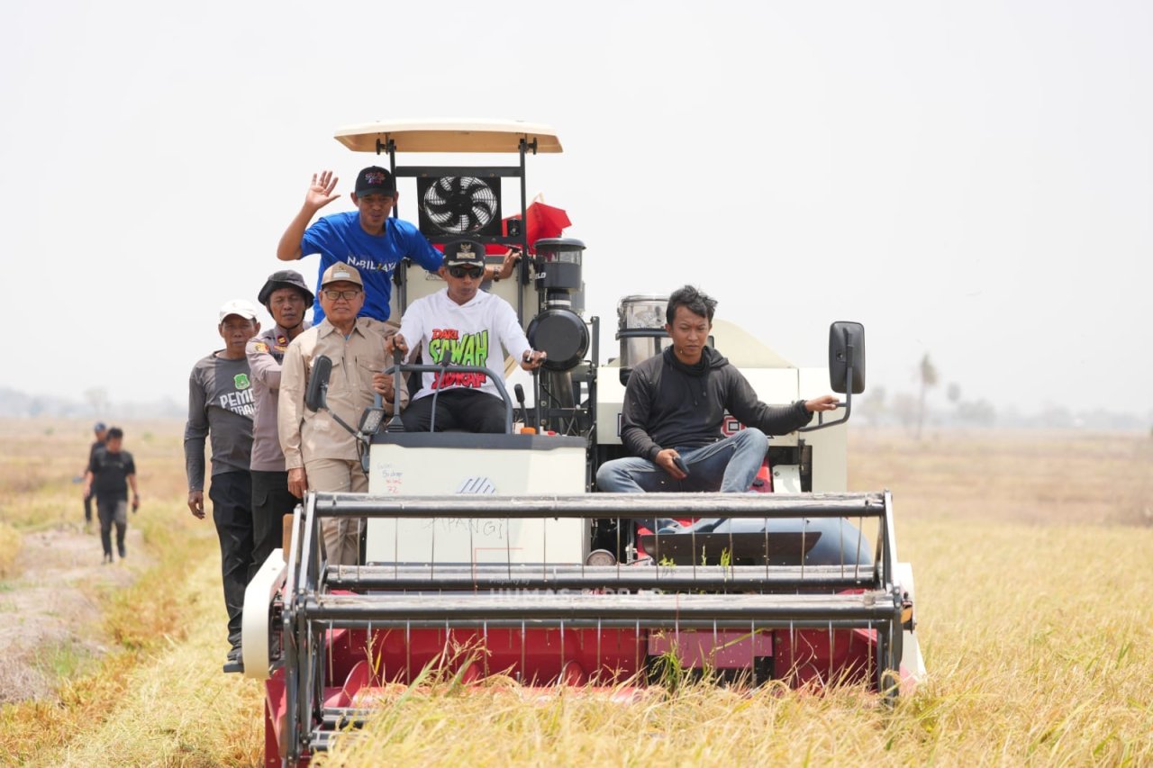 Sumur Bor Hadir, Sawah Tadah Hujan di Bapangi Tetap Produktif